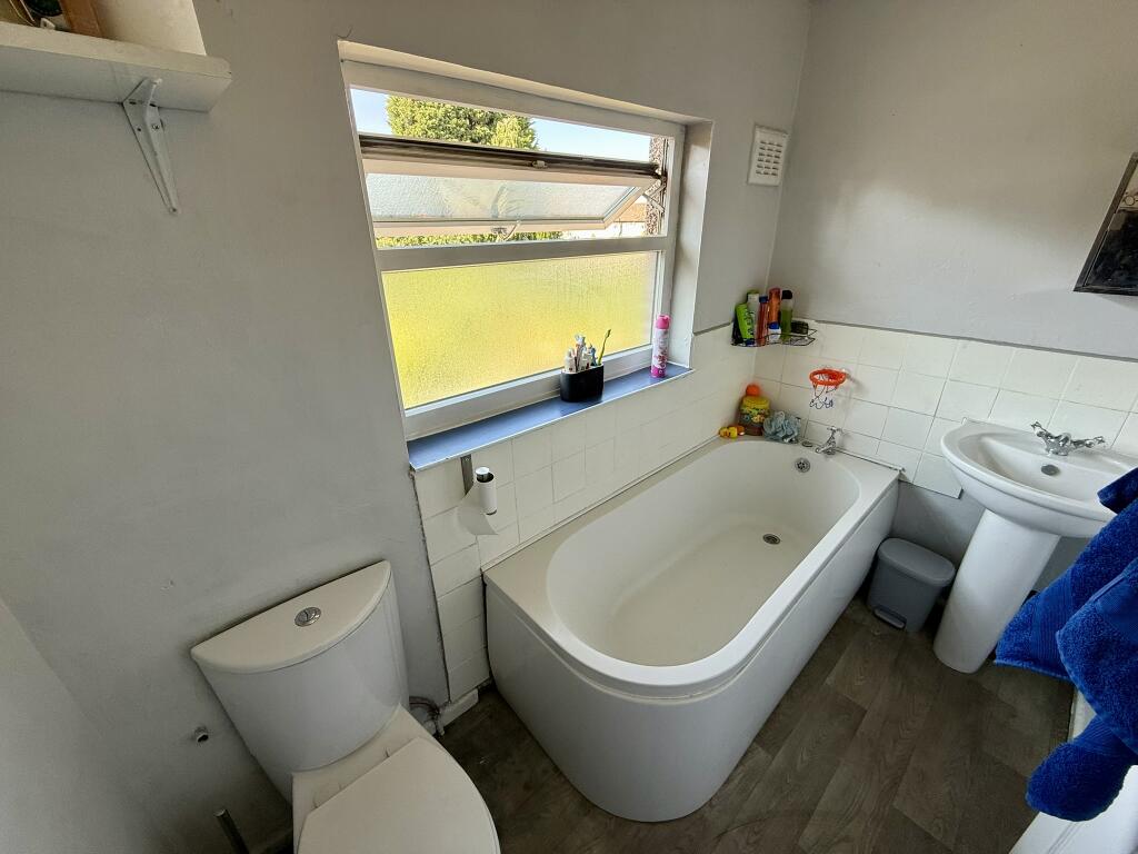 IMG 1571 T202506191649.jpeg