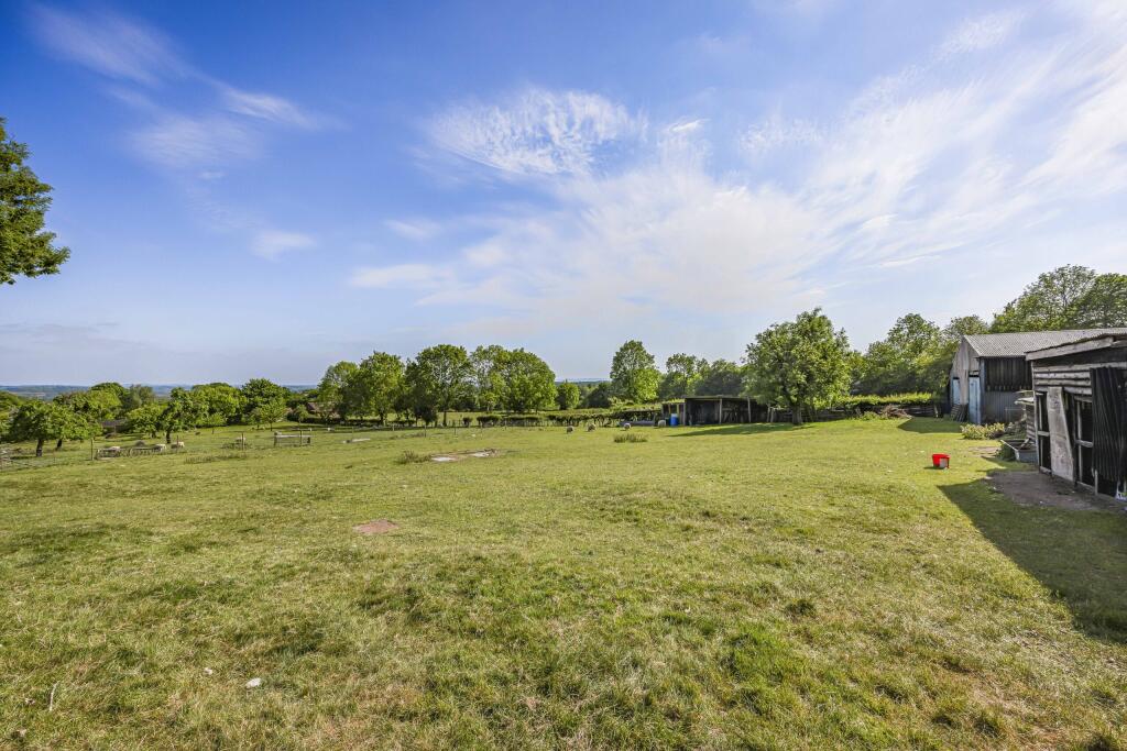 PADDOCK LAND