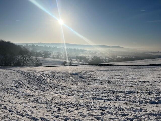 Local view in winter