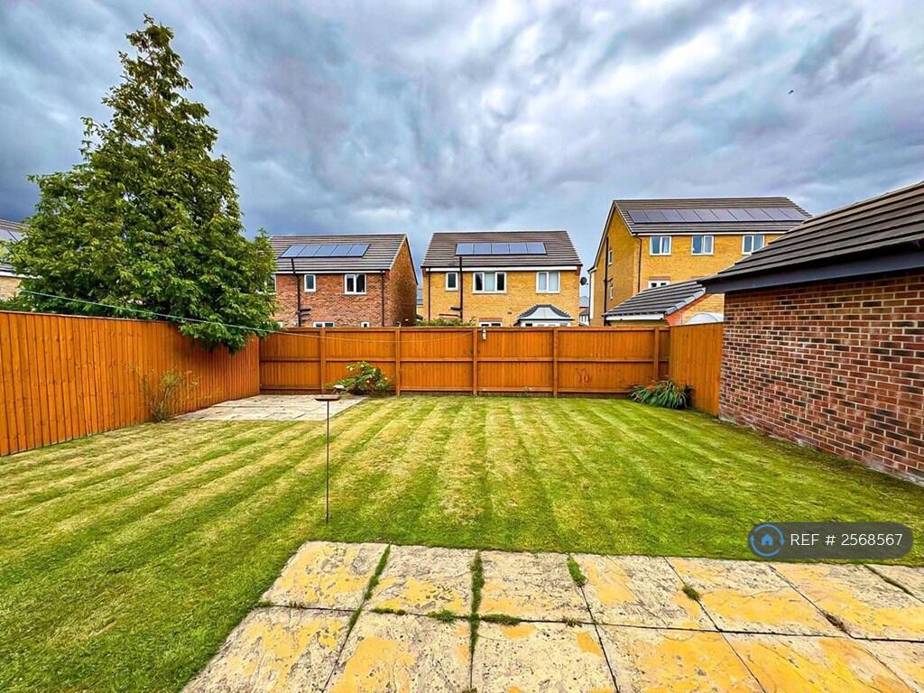 Back Garden 