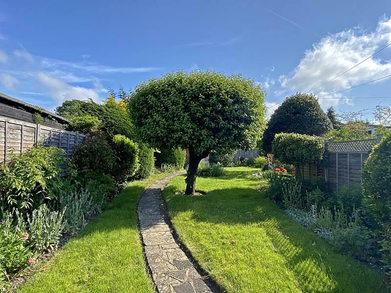 garden3.jpg
