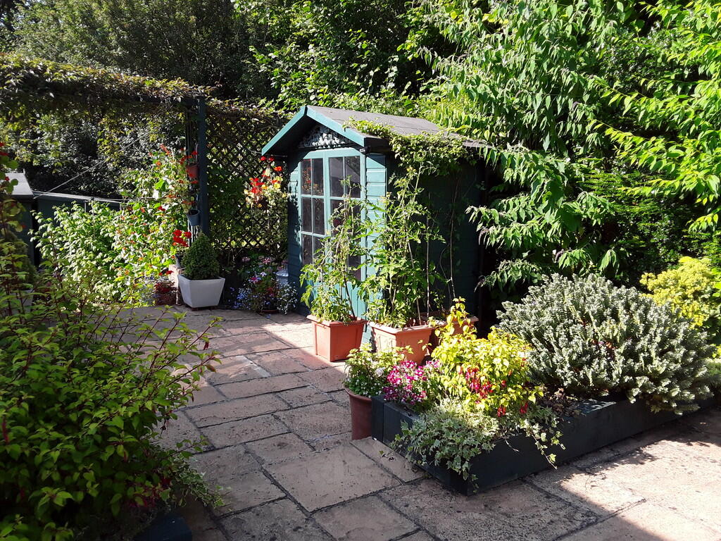 garden shot 2