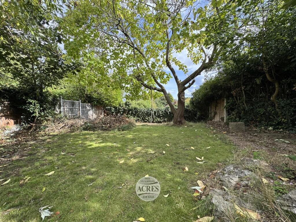 IMG_3593 (Large).jpg