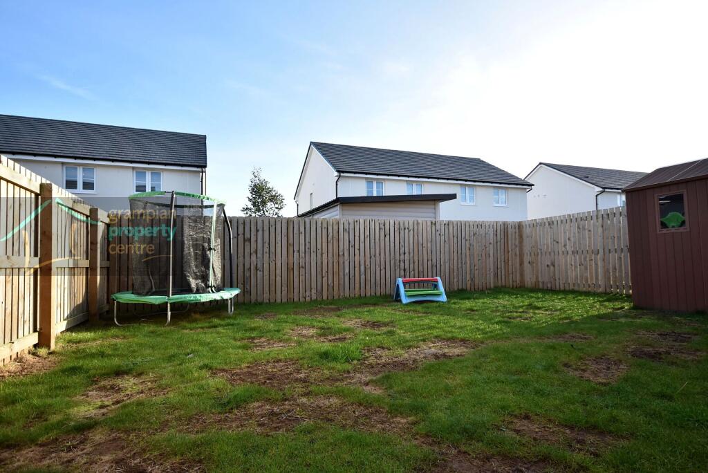 new garden 2.JPG