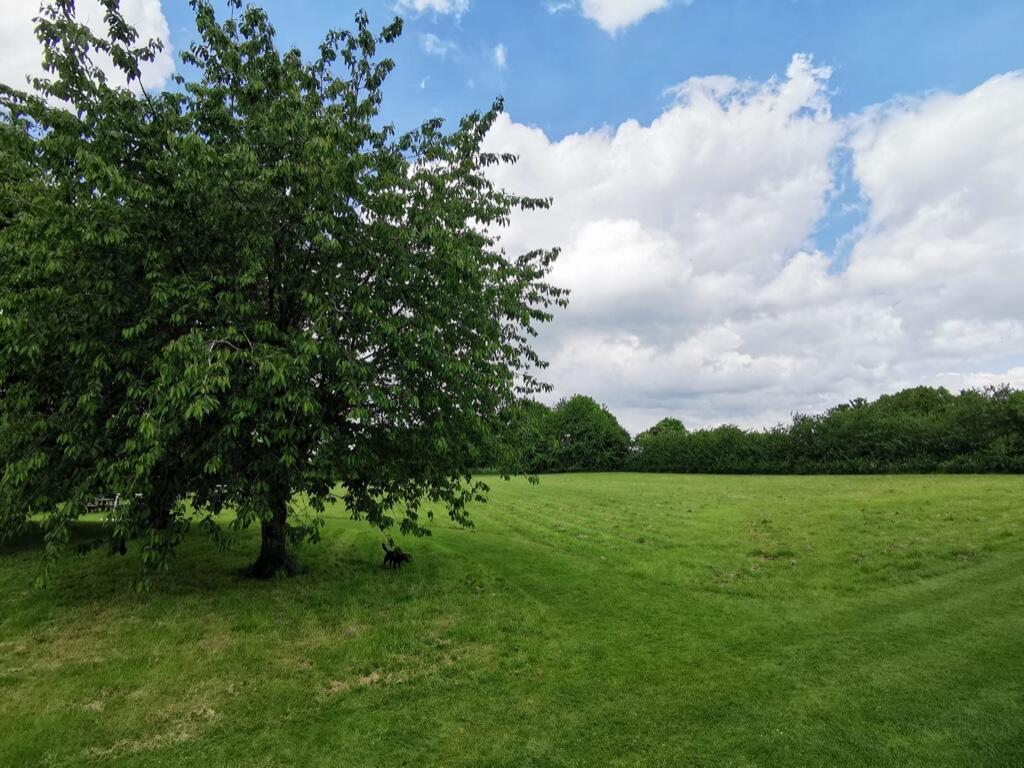 Community Field 