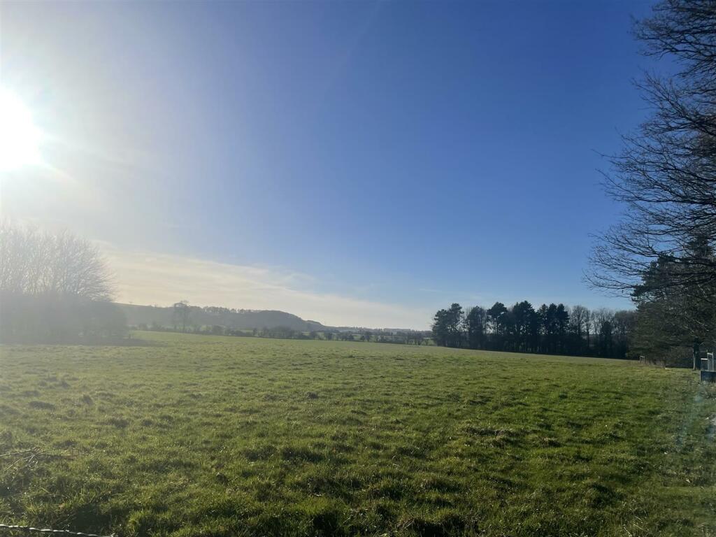 View.jpg