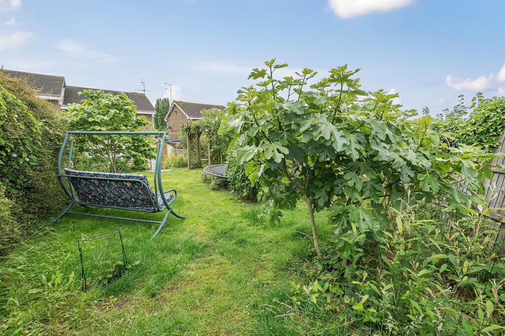 Garden (7)