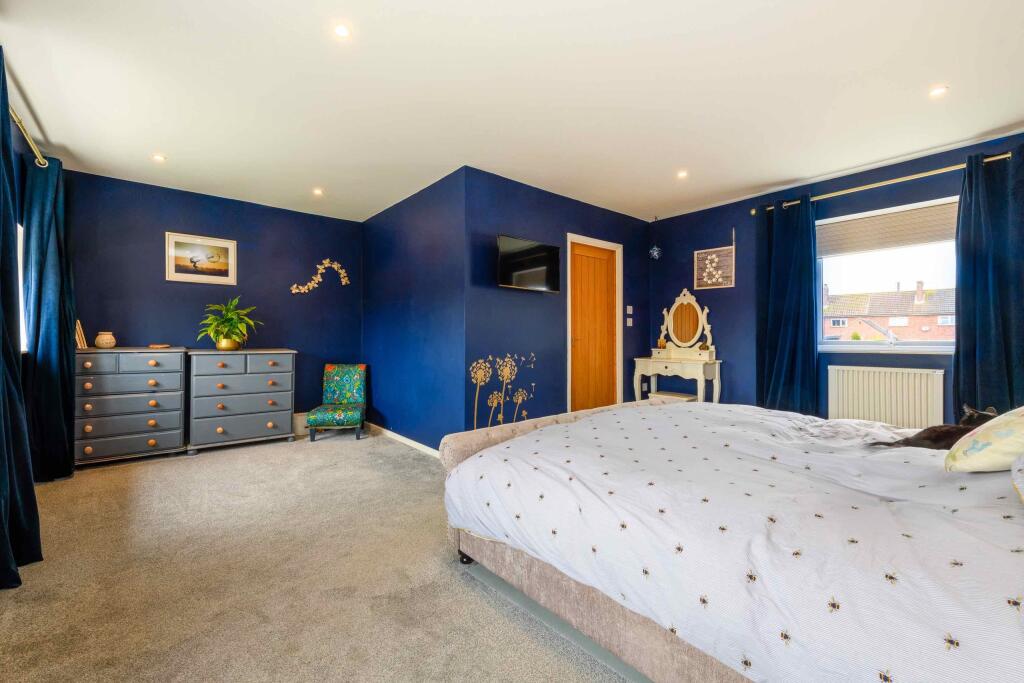 TEK HiRes 250205 061.jpeg