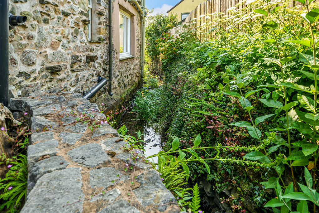 Stream