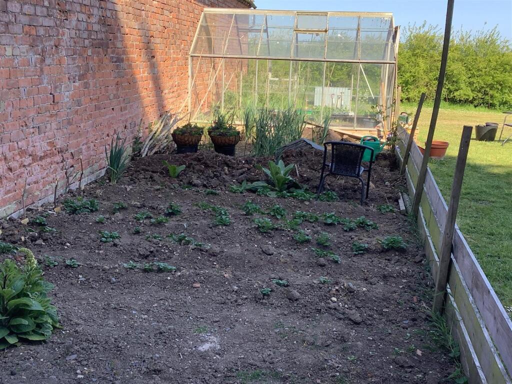 vegetable patch.jpg