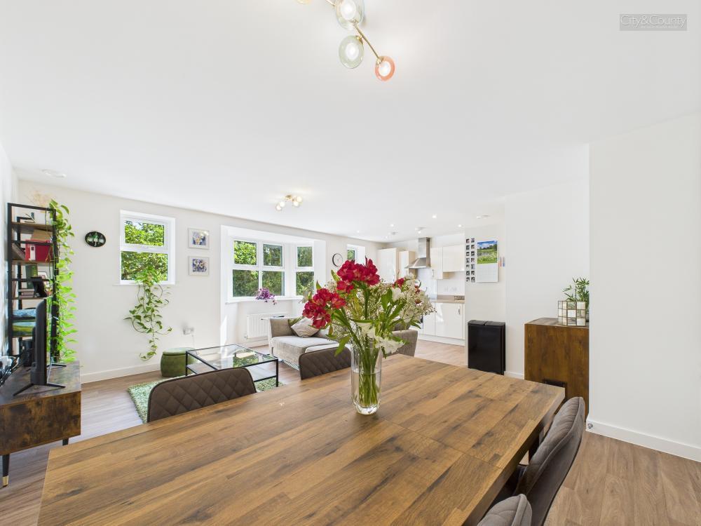 Lounge/Diner/Kitchen