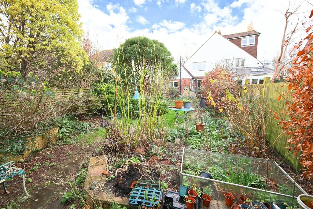 Garden shot back