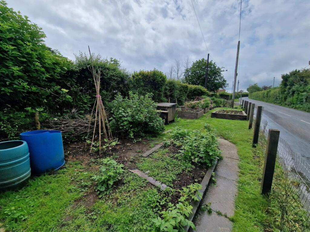 Vegetable Garden