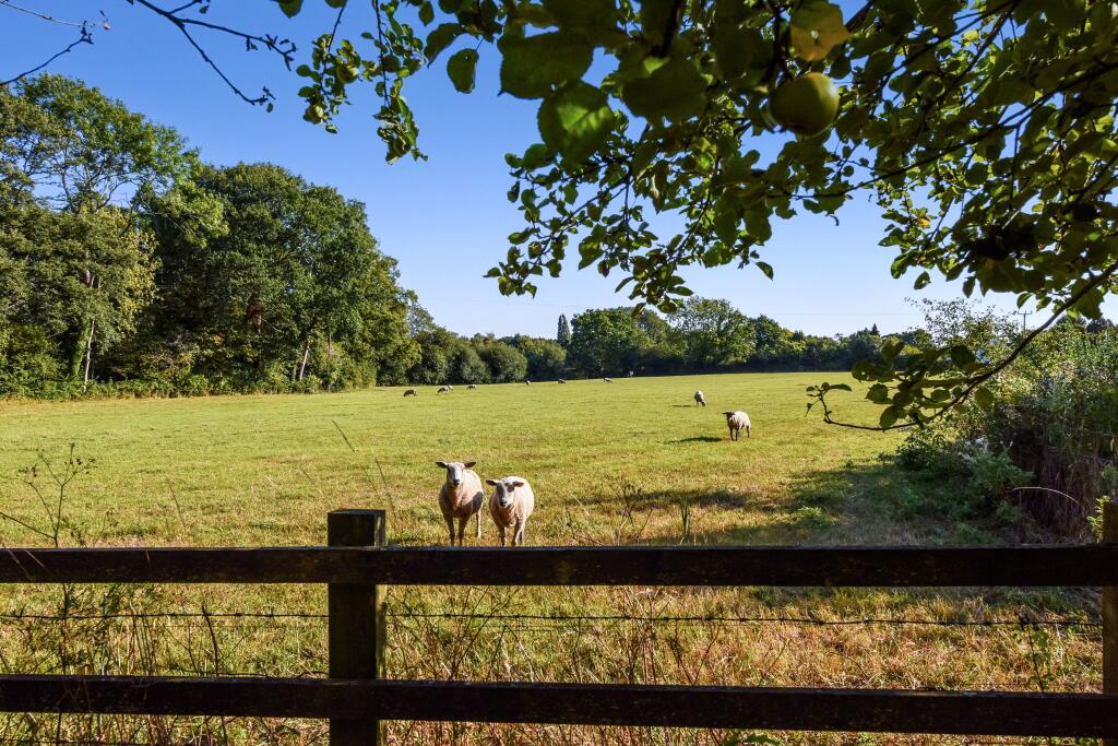 Paddocks