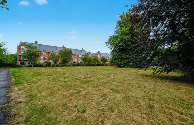 P14 T202511191124.jpeg