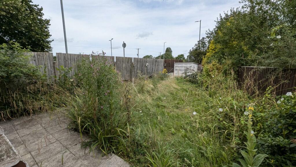 PXL_20240726_105852482 (Large).jpg