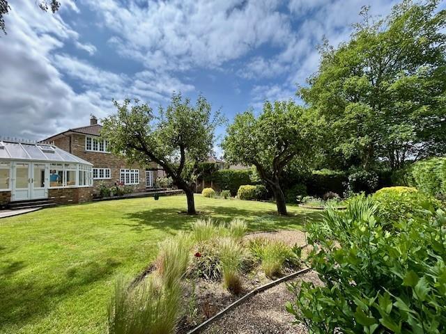 7 Devonshire Drive garden 2.jpg