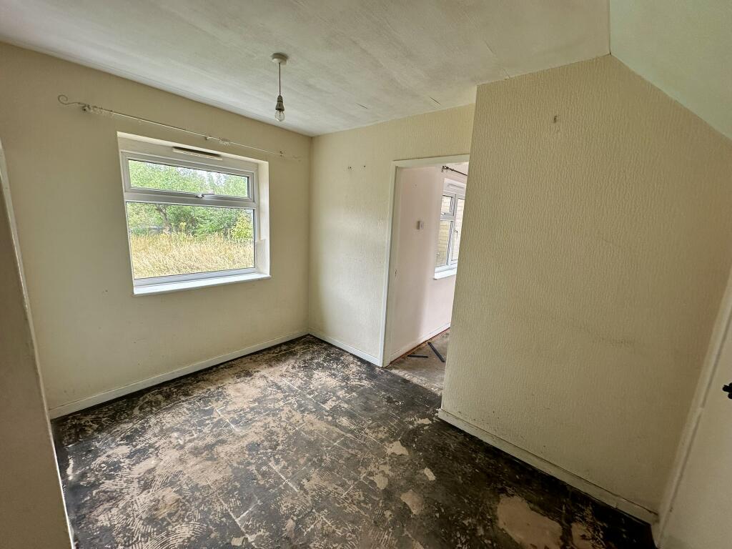 IMG 3009 T202507301131.jpeg