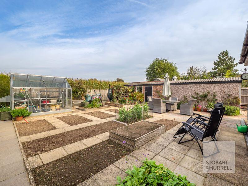 Vegetable Plot