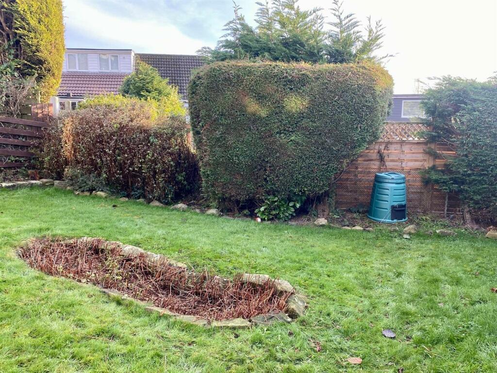 rear garden.jpg