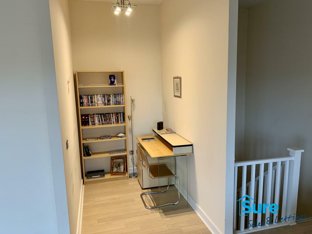 Study Area