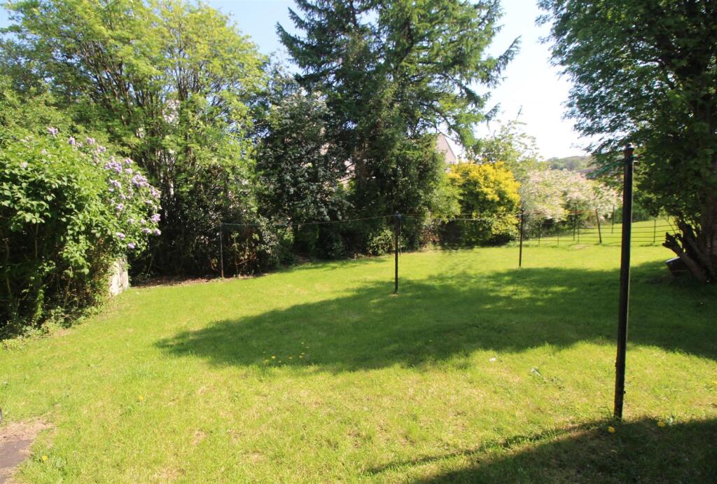 IMG_1113.JPG
