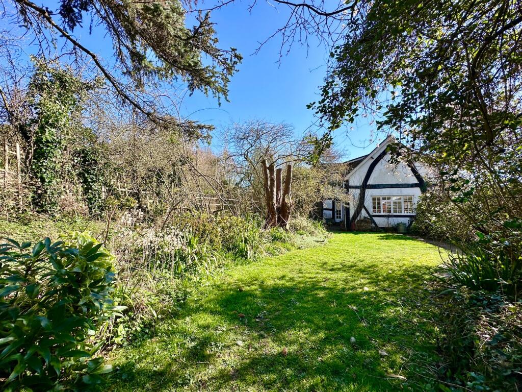 Cottage Garden