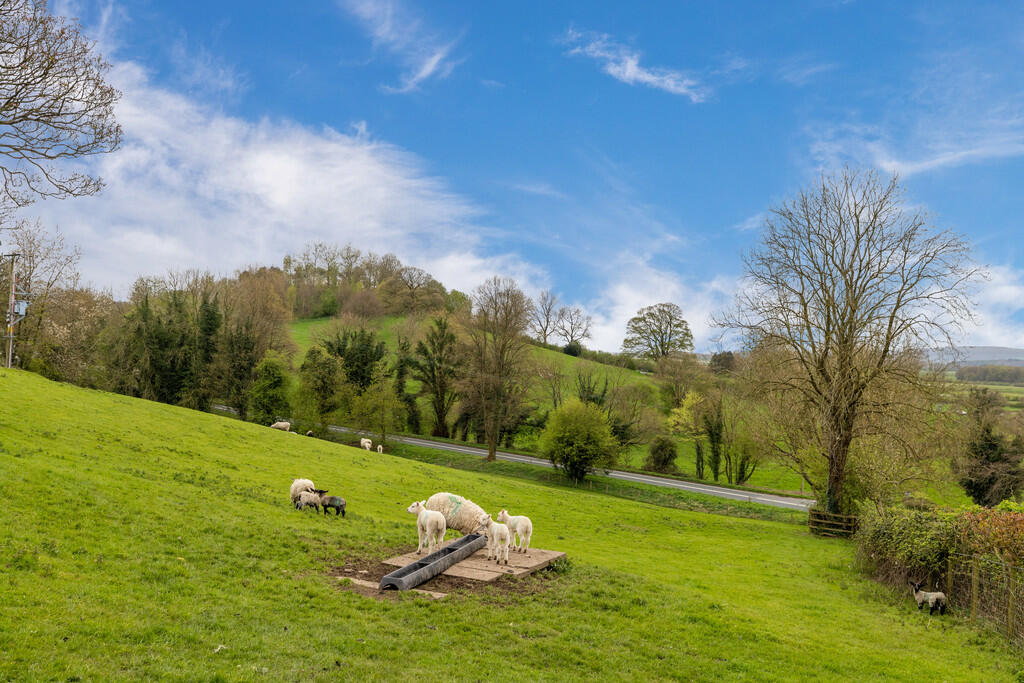 Countryside Views
