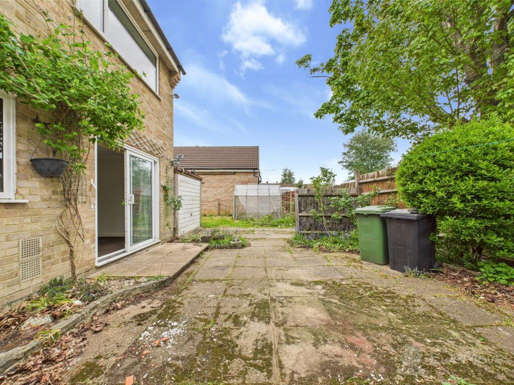 Back Garden