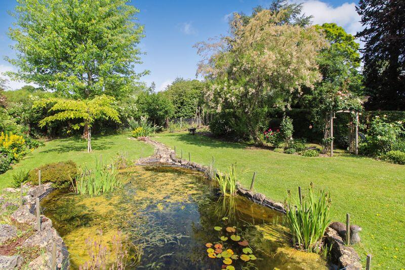 Rear Garden 5