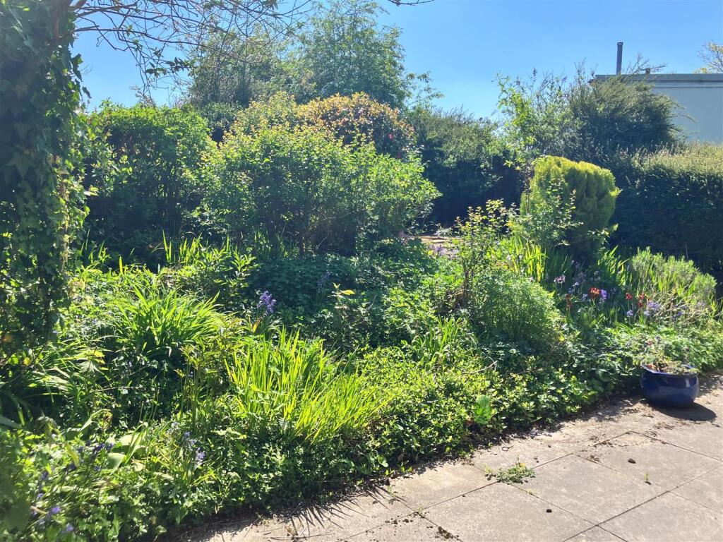 new rear garden.jpg