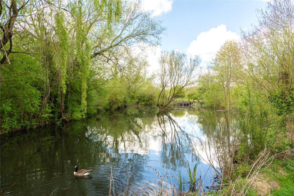 Rear Pond
