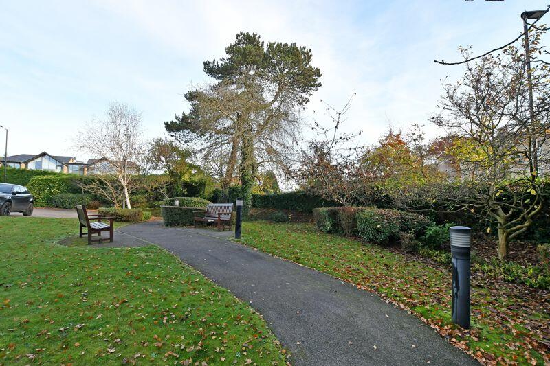 Communal Garden 