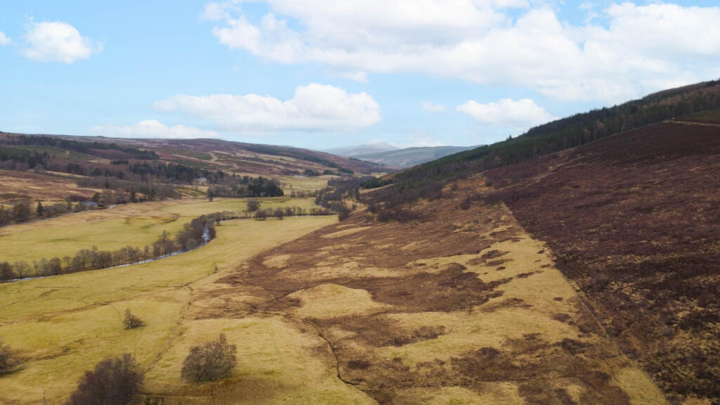 View Of The Surroundings