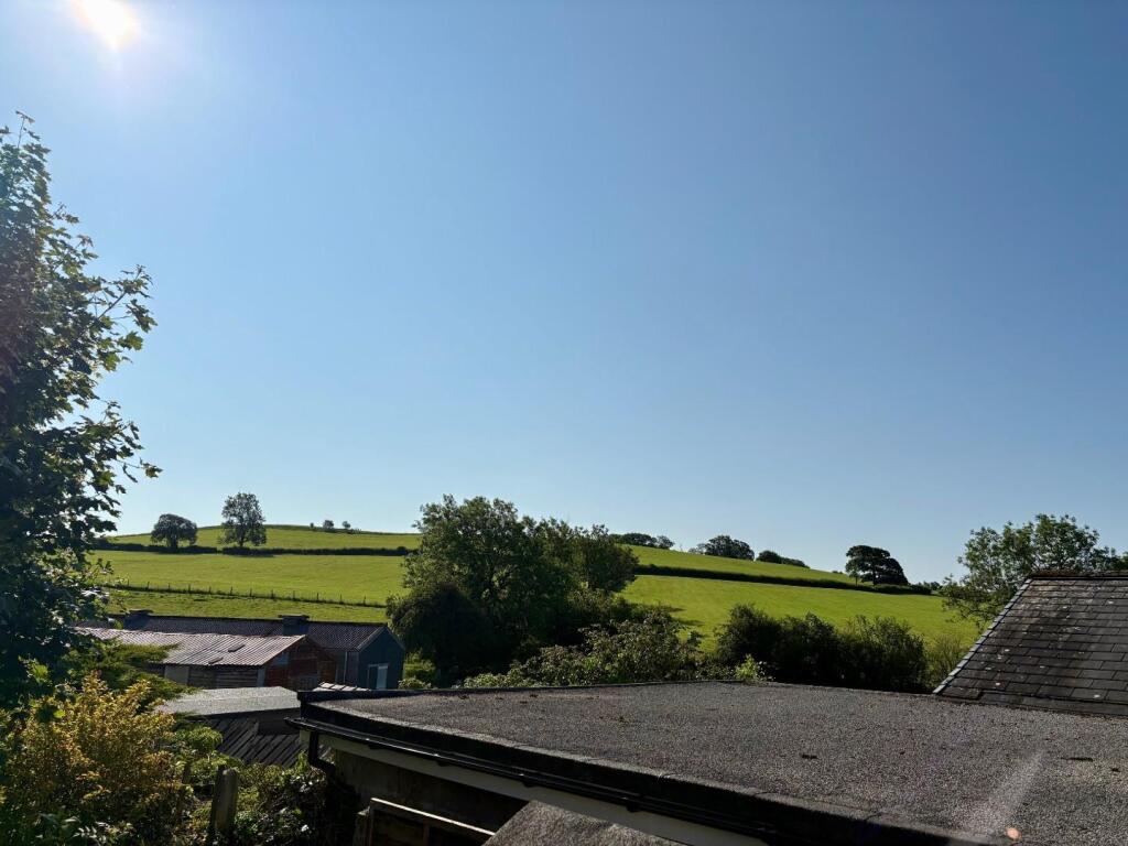 new garden 1.jpg