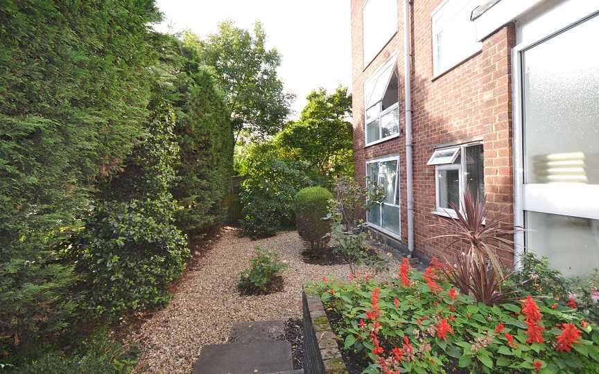 Shared Garden