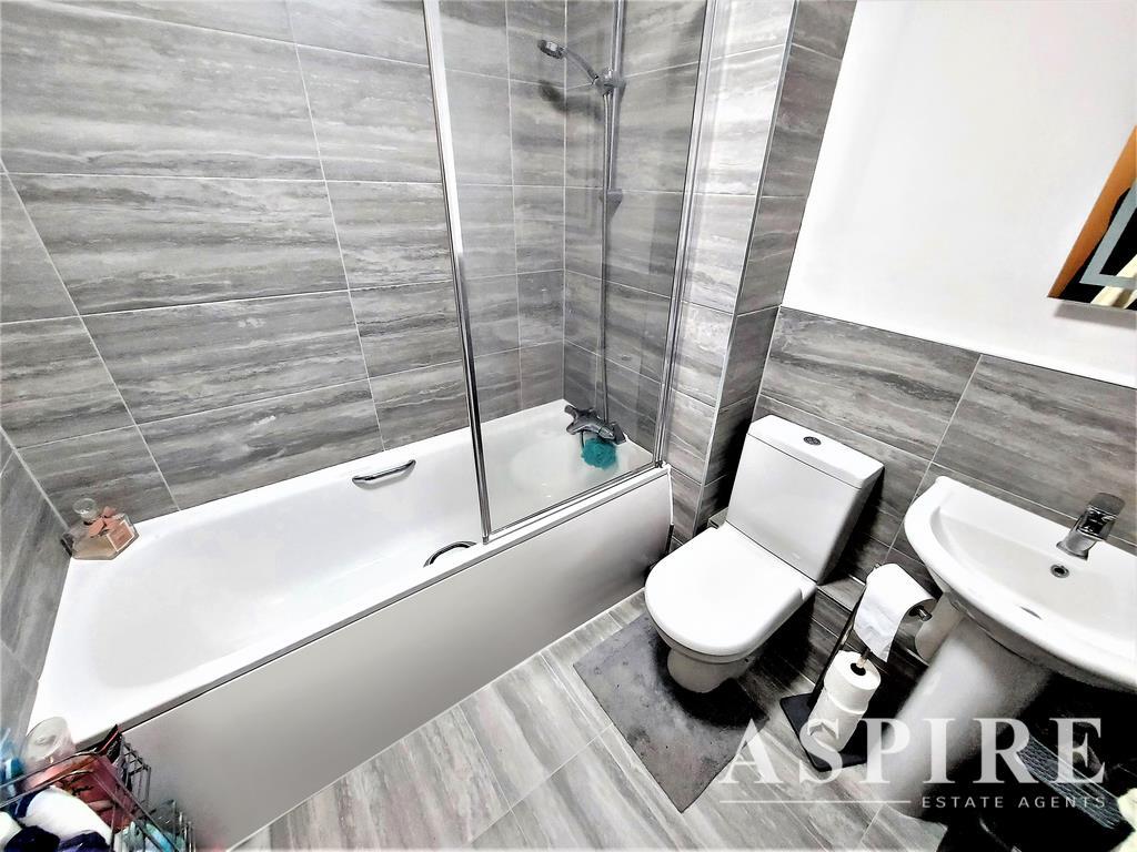 WEBSTER CT58559.jpg