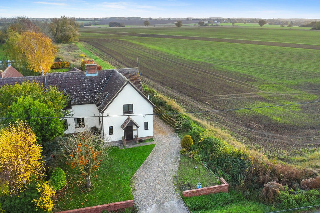 PT-DB(WP)-Patridg...