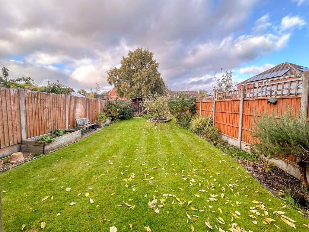 garden 1