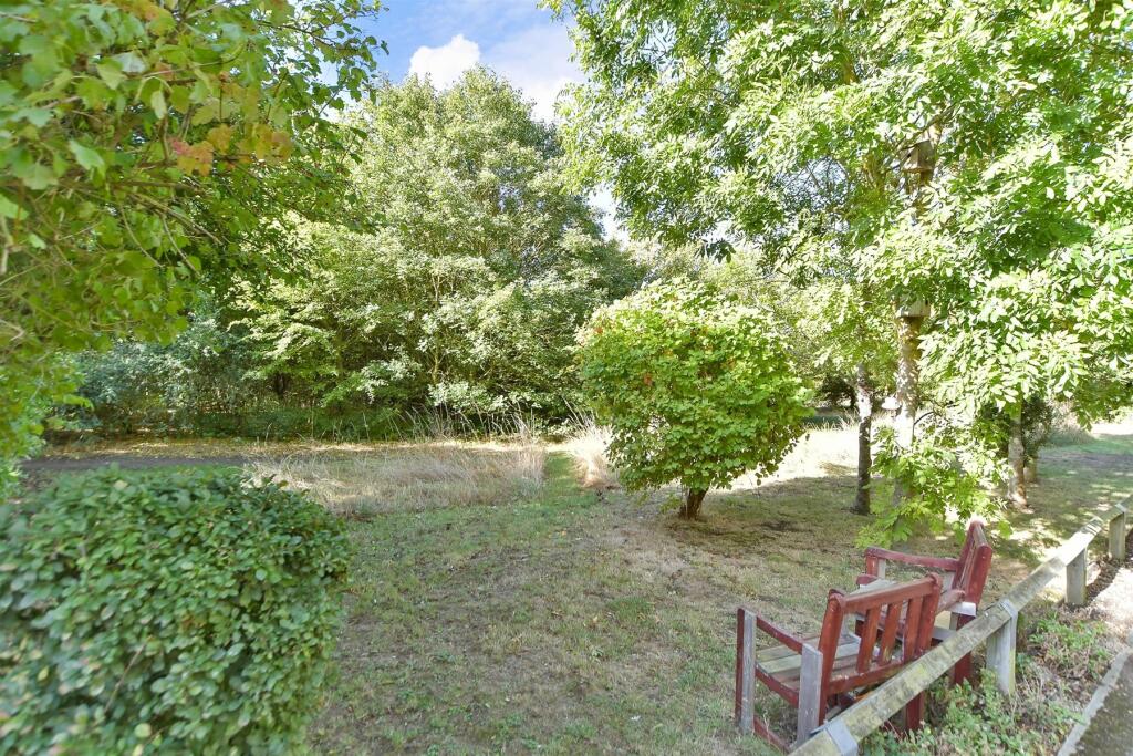 Surrounding Area