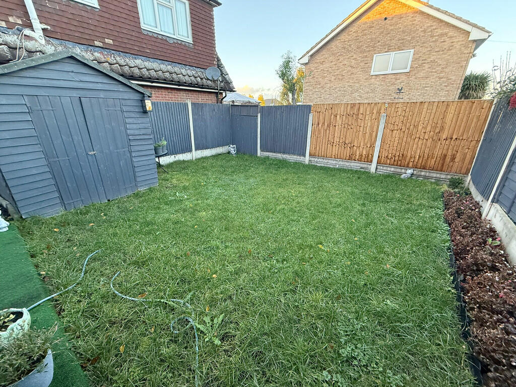 WhatsApp Image 20...