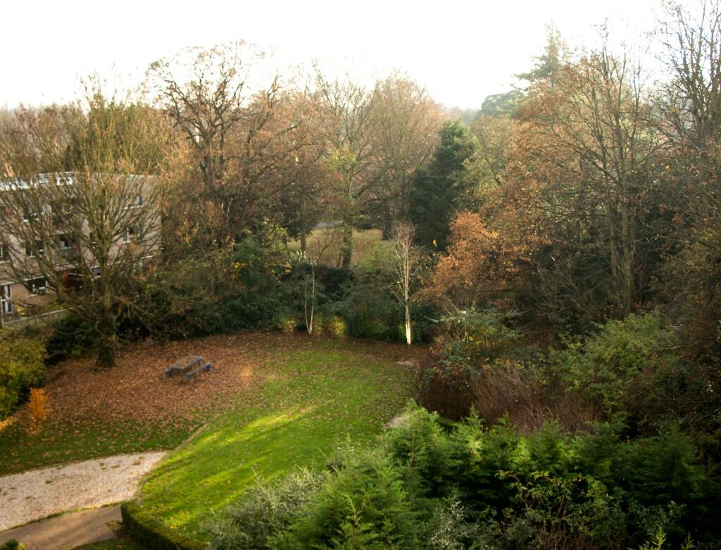 Private garden
