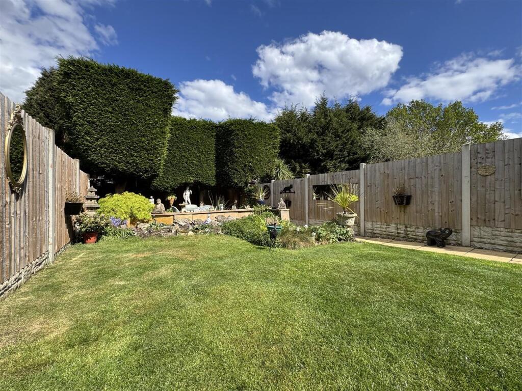 IMG_3767 (Large).JPG