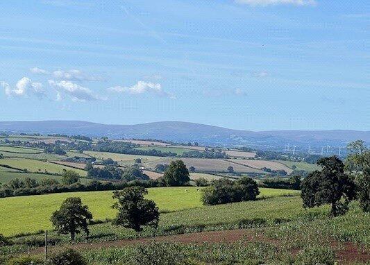 View - Belstone View