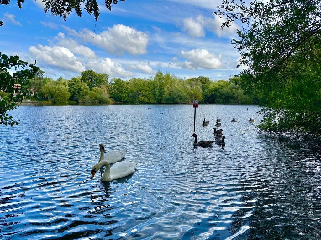 IMG-20250925-WA00...