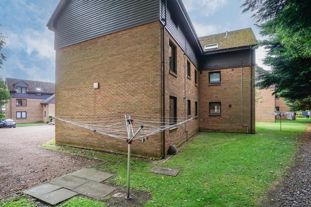 EXTERNAL REAR