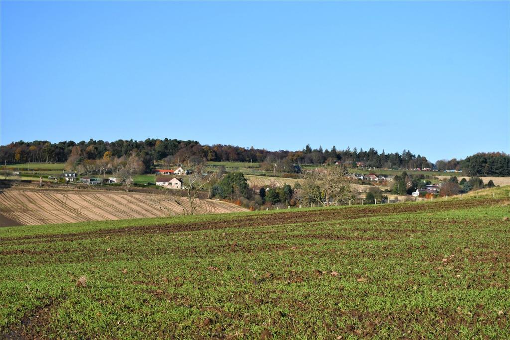 Outlook