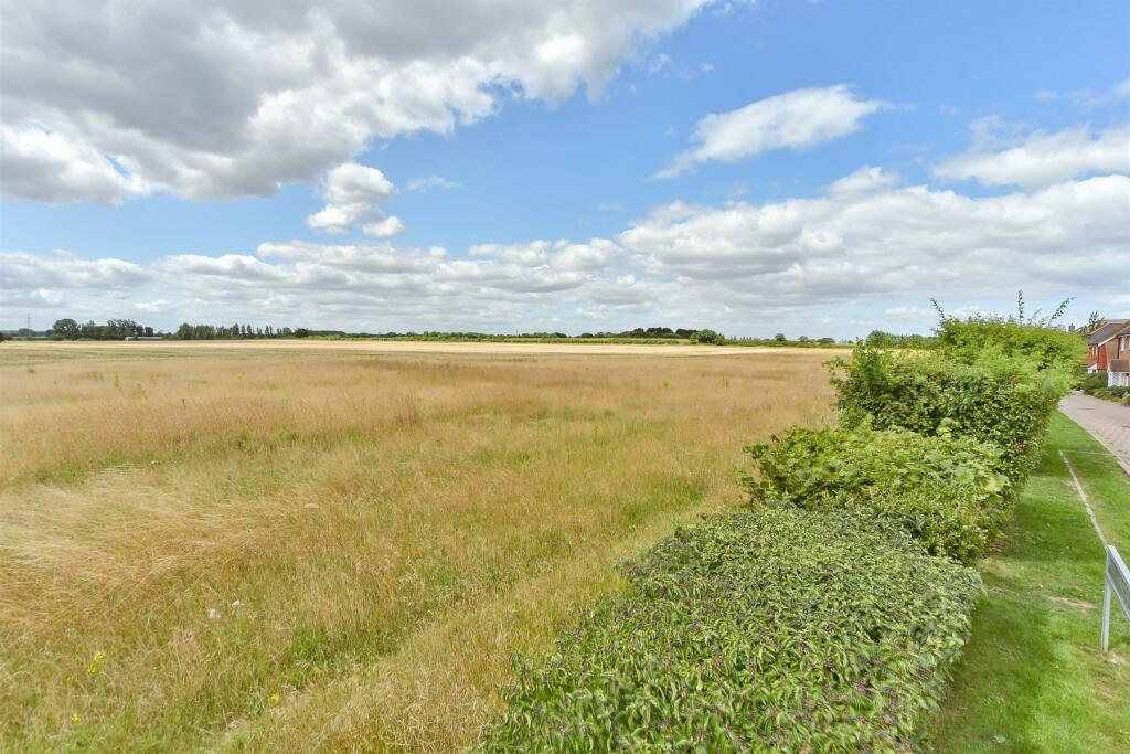 Surrounding Area