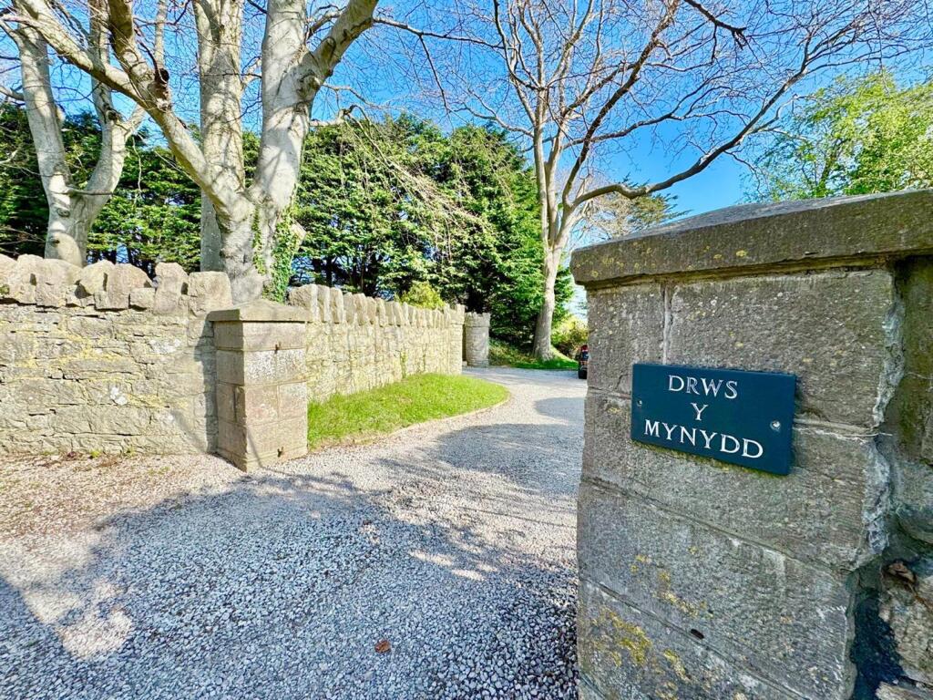 PHOTO-2025-04-13-20-45-42 (39).jpg