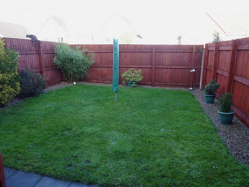 Garden 1